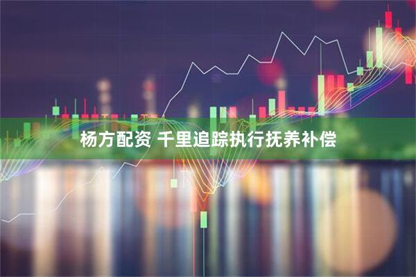 杨方配资 千里追踪执行抚养补偿
