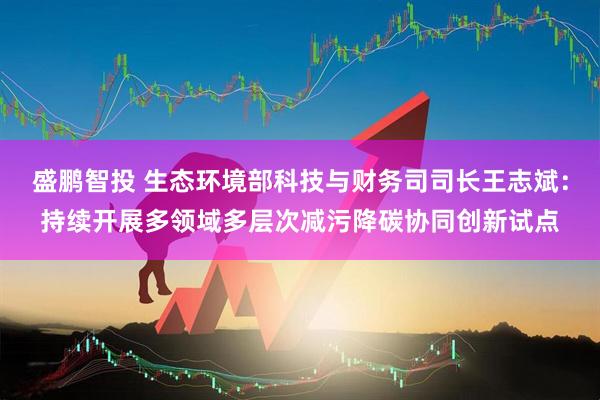 盛鹏智投 生态环境部科技与财务司司长王志斌：持续开展多领域多层次减污降碳协同创新试点