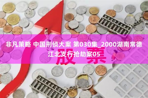 非凡策略 中国刑侦大案 第030集_2000湖南常德江北支行抢劫案05