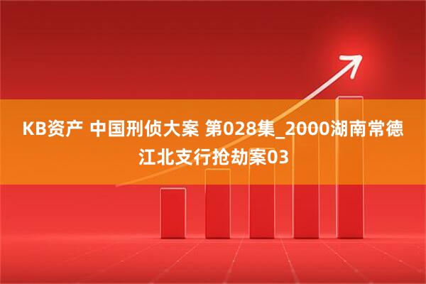 KB资产 中国刑侦大案 第028集_2000湖南常德江北支行抢劫案03