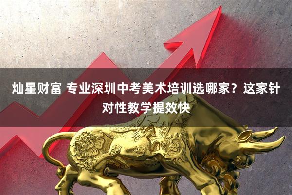 灿星财富 专业深圳中考美术培训选哪家？这家针对性教学提效快
