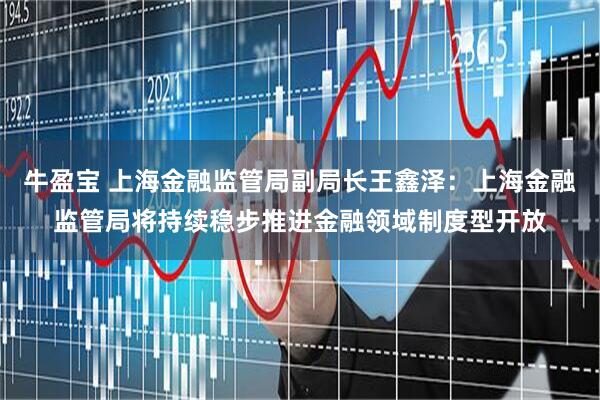 牛盈宝 上海金融监管局副局长王鑫泽：上海金融监管局将持续稳步推进金融领域制度型开放