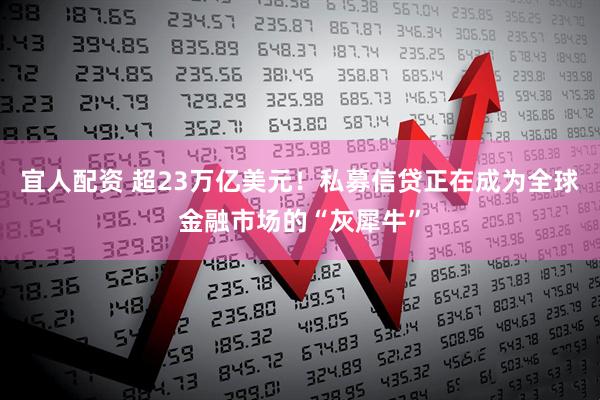 宜人配资 超23万亿美元！私募信贷正在成为全球金融市场的“灰犀牛”